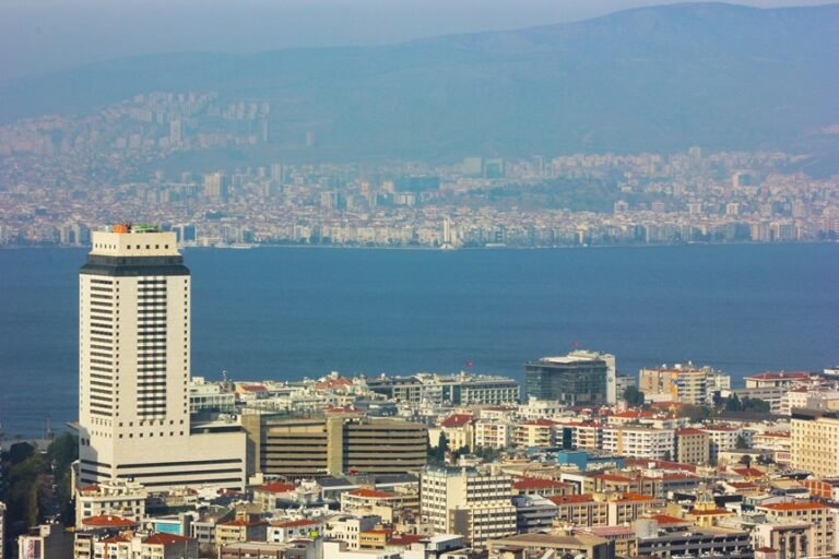 business evaluation and analysis