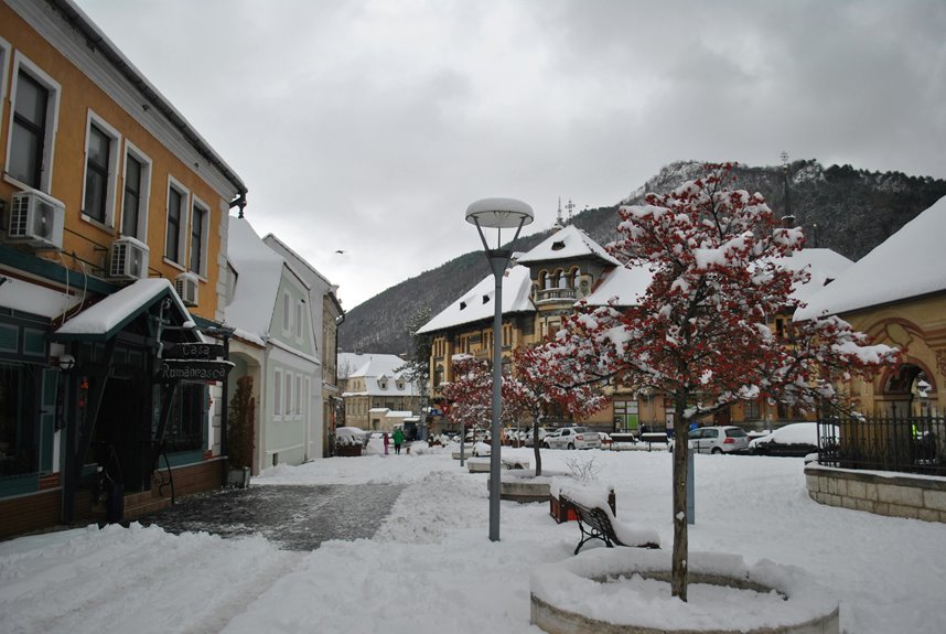 business evaluation report requested